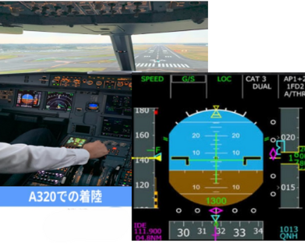 画像2901